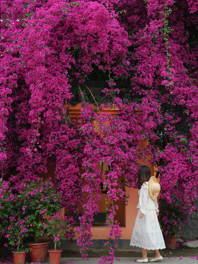 The ancient temple, surrounded by oleanders, on the outskirts of Chengdu remains undiscovered...