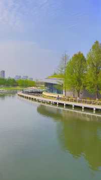 魔都西區的都市森林遠香湖公園