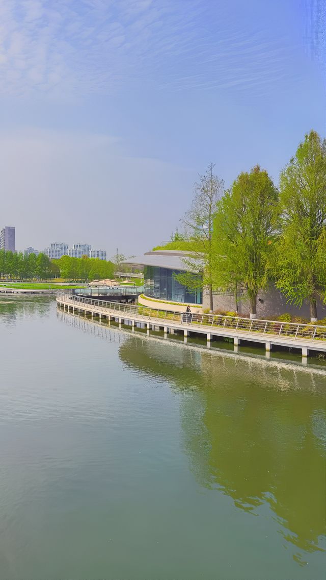 魔都西區的都市森林遠香湖公園