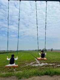 在這個有風的季節,去一次崇明島吧吧!