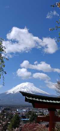 【戀戀櫻花季】新倉山淺間公園：櫻花與神社與富士山絕妙同框