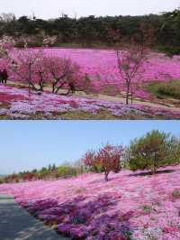 在大連，有一處宛如仙境的地方——英歌石植物園