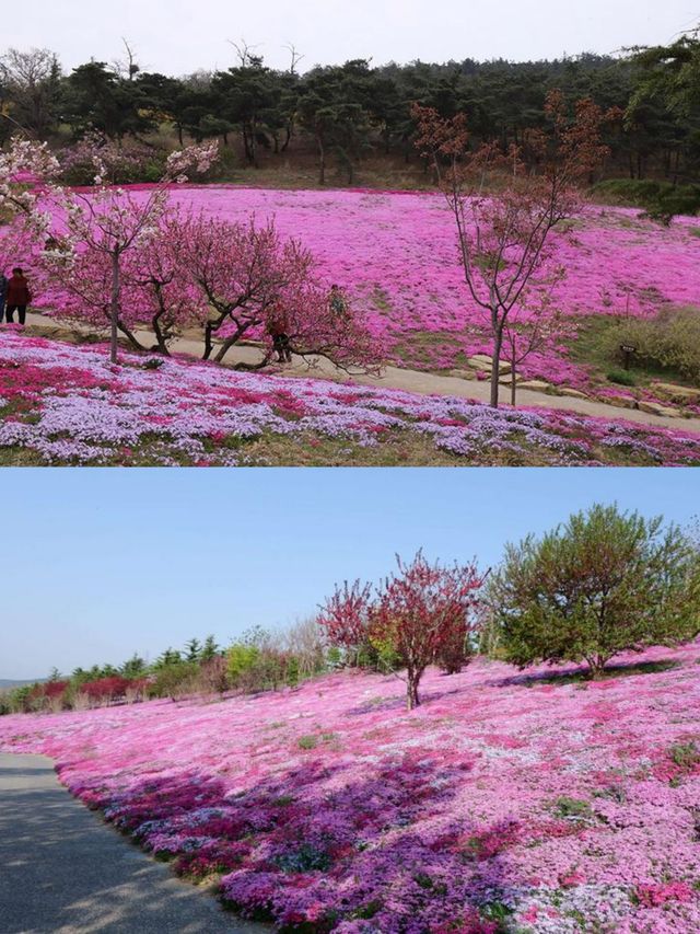 在大連，有一處宛如仙境的地方——英歌石植物園