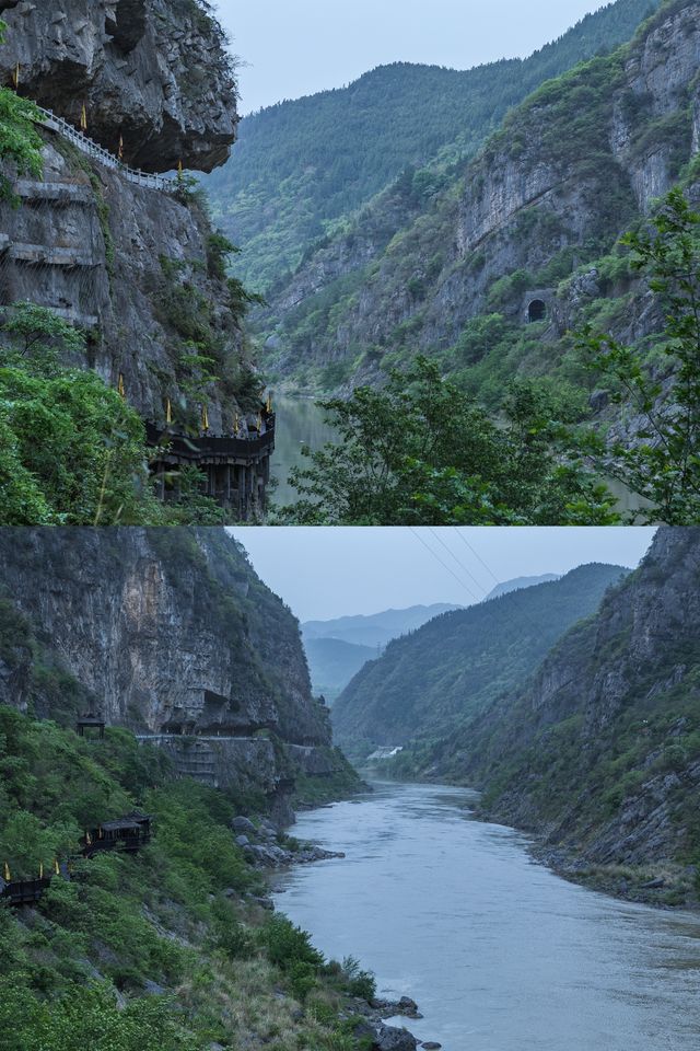 隨著四月的花瓣雨