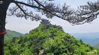 河南信陽 | 新縣金蘭山國家森林公園
