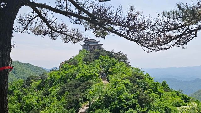 河南信陽 | 新縣金蘭山國家森林公園
