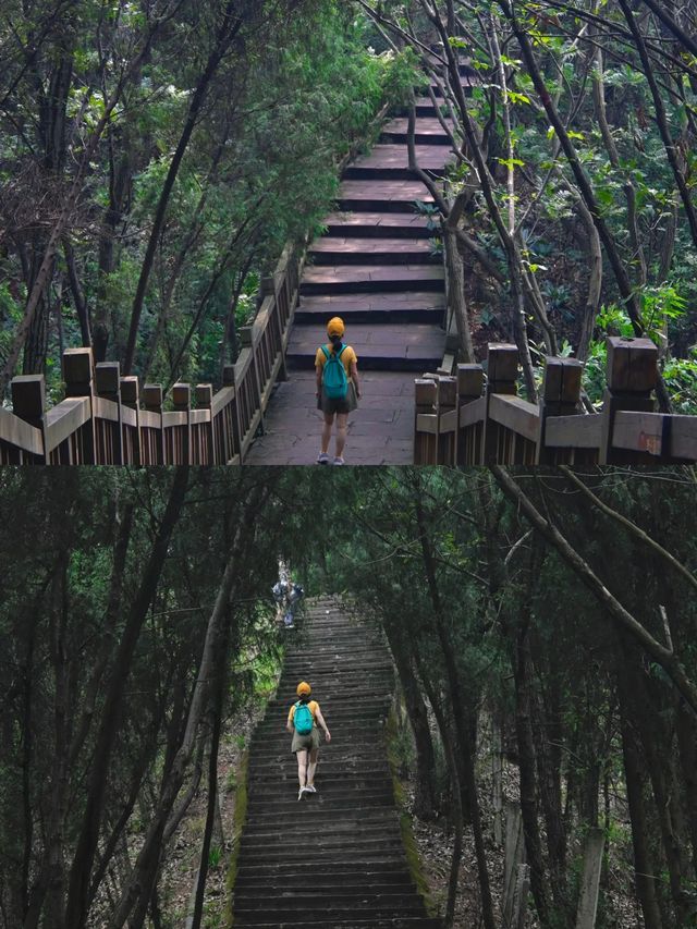 龍泉山裡一個人都可去的登山步道