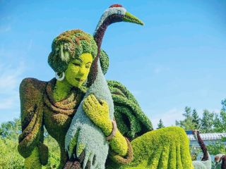 Montreal Surreal Fairy Tale