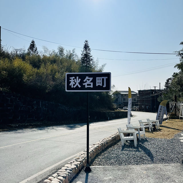 安吉之行