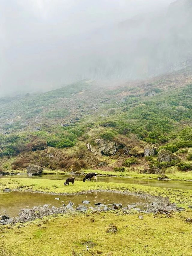 記錄沿途的美麗風景