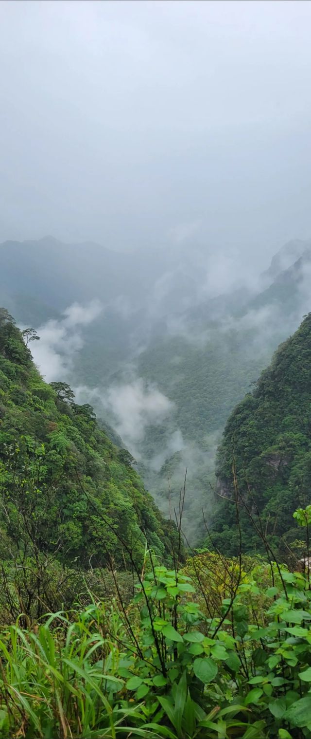 聖堂山