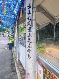 叮！「原來這裡是服務區啊」，此生必駕G318