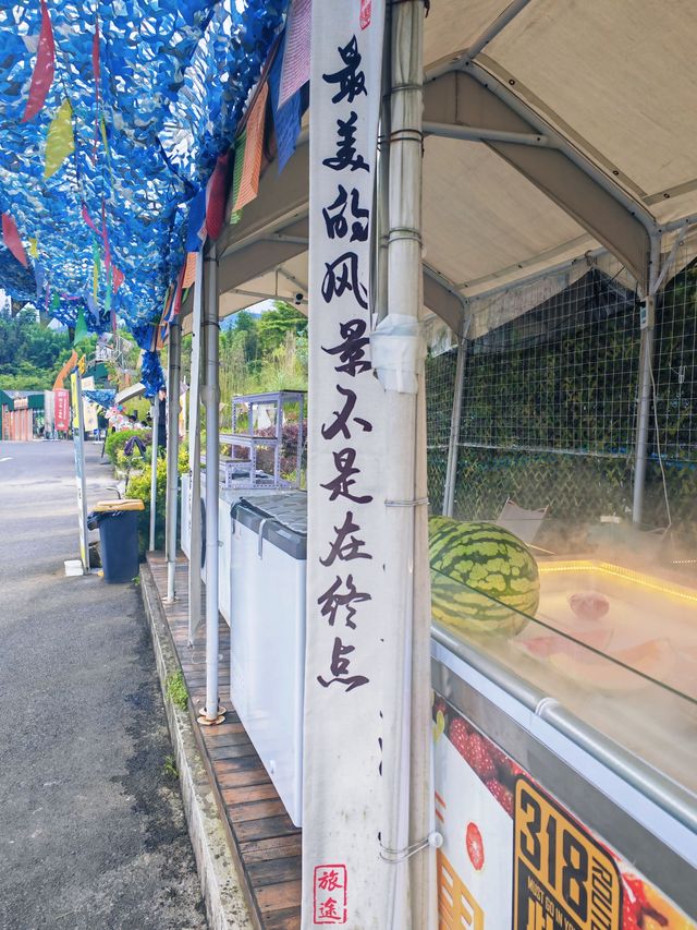 叮！「原來這裡是服務區啊」，此生必駕G318