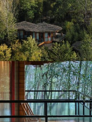 Wow | Xinyang Bailuhu Secret B&B is simply my dream paradise