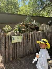 San Diego Safari Zoo