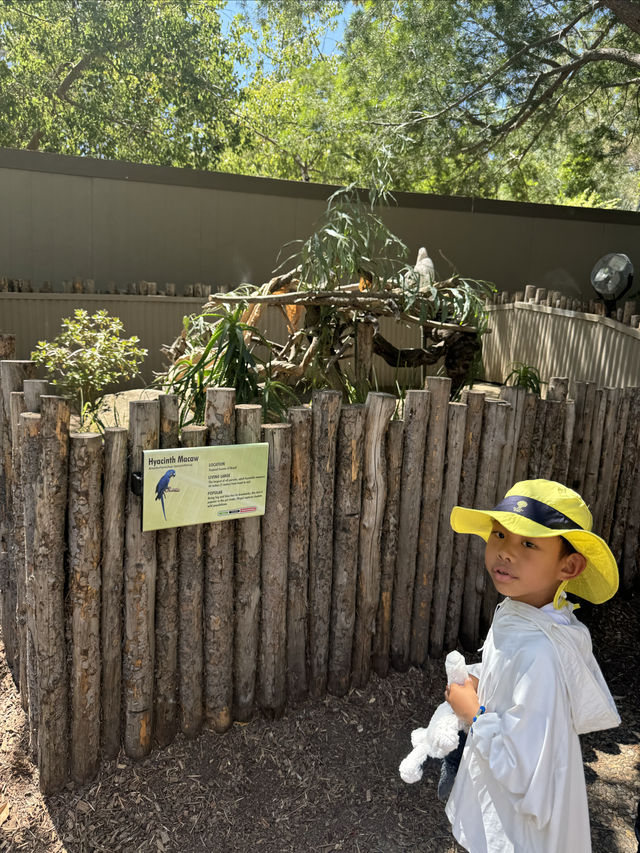 San Diego Safari Zoo