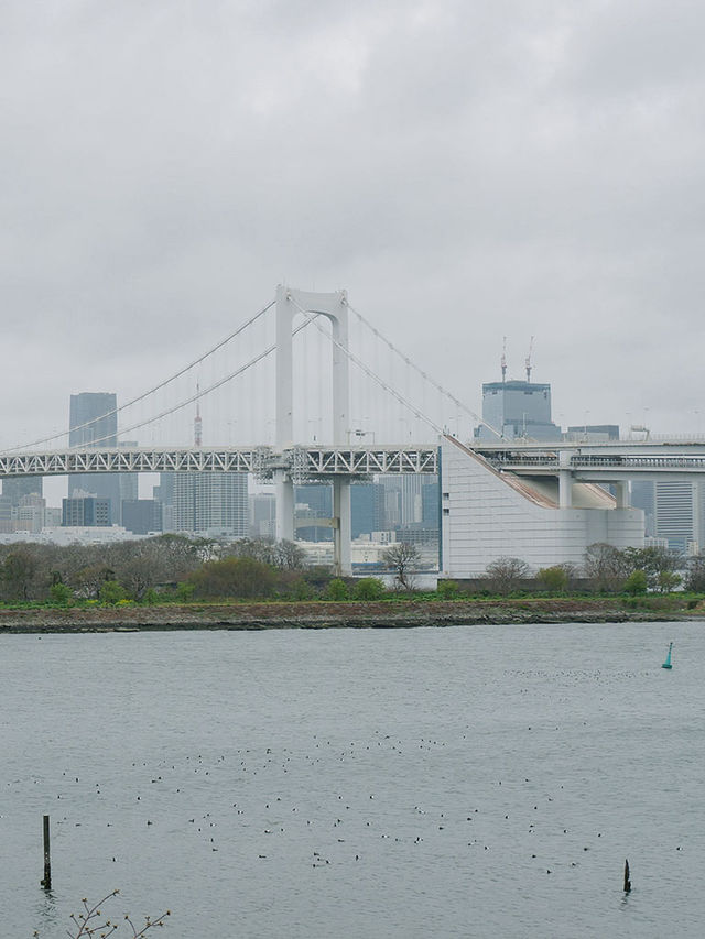 東京景點｜台場海濱與富士電視台