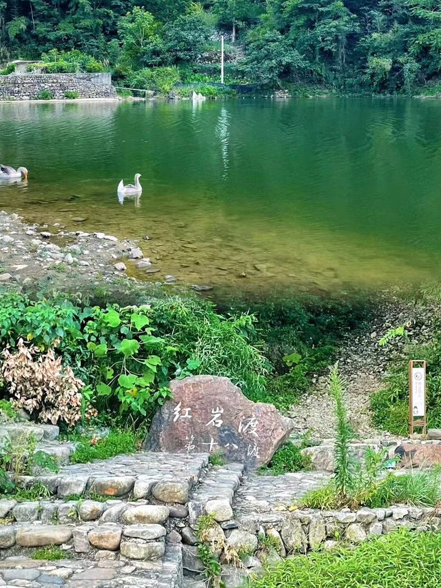 新昌徒步溯溪路線，我願稱浙江天花板
