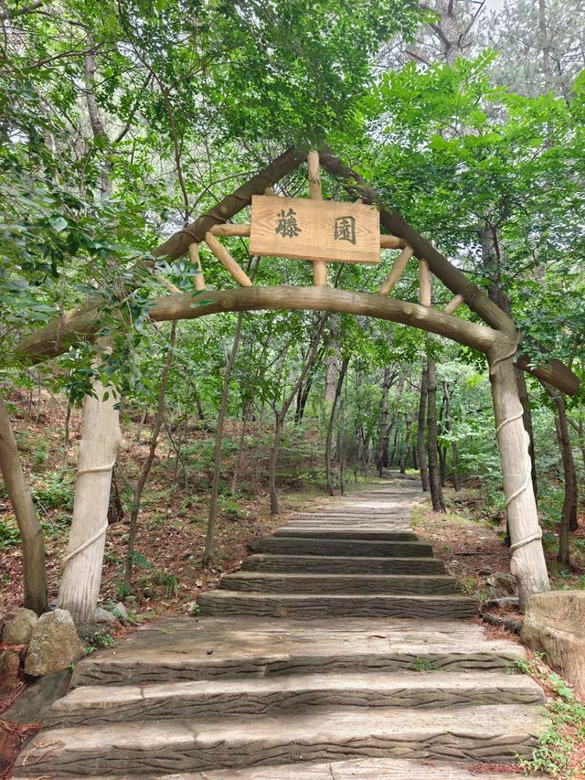 金龍寺國家森林公園（遼寧省大連市）