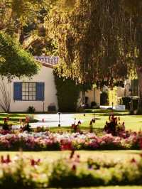 🌴✨ La Quinta's Luxe Lodgings: Cali's Cozy Getaway 🏨🌵