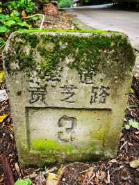 雨漫內自邊界的中溪河畔
