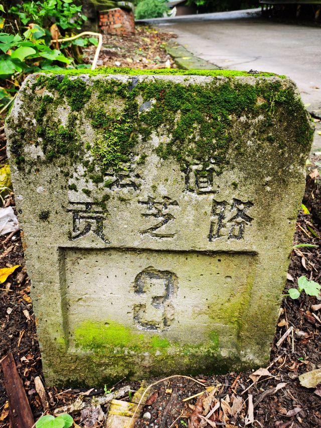 雨漫內自邊界的中溪河畔