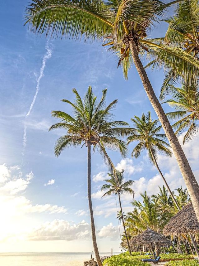 🌴 Unwind in Zanzibar: Top Beachfront Bliss Spots 🌊