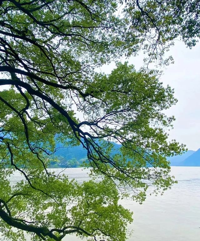 桐廬遊記：梁啟超讚譽的桐君山與富春山居釣台