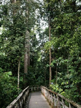 Why not visit Sandakan when you come to Malaysia?
