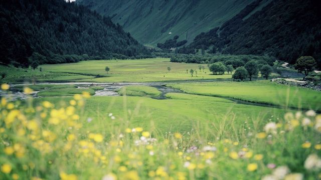 8月小眾旅行地推薦川西玉科草原秒殺阿勒泰