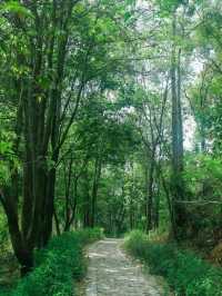 深圳小眾徒步路線，連接公園古鎮的舒適之旅🌳🏘