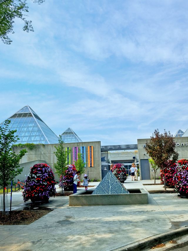 姆塔特溫室：北美最大的溫室植物園，被譽為“金字塔綠洲”