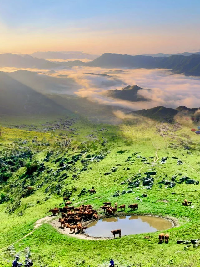 北陽山秘境之旅 西安周邊隱世仙境大揭秘！