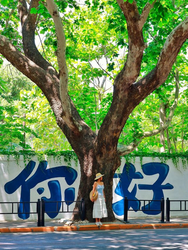 以為威海已經夠美了直到我去了一趟大連