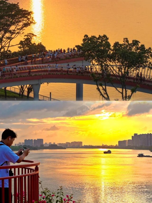 東莞又開大!新晉濕地公園!超美網紅橋鮮豔的顏色
