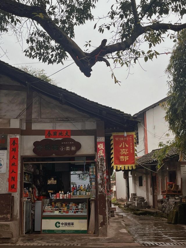 四川南充｜走進嘉陵第一桑鄉|||蓬安周子古鎮。