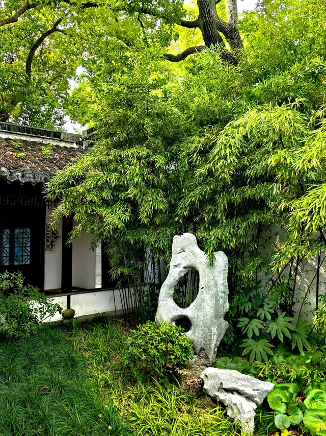 醉白池，上海人都不太熟悉的後花園。