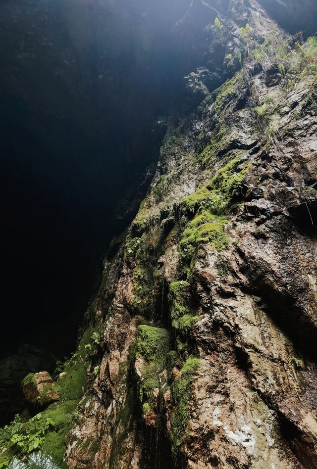 山中風雨~探洞龍潭天坑。