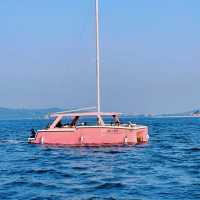 【廈門水上活動】🚤坐遊艇出海，在海上看金門，還有機會偶遇白海豚🐬！