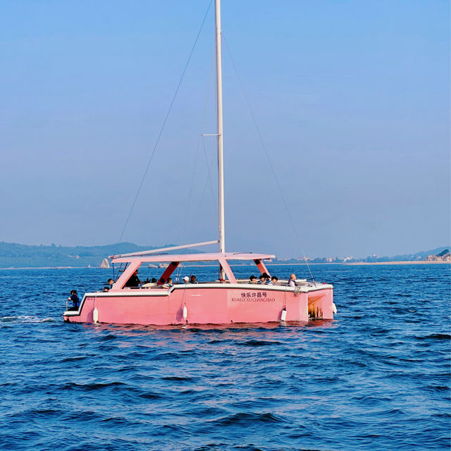 【廈門水上活動】🚤坐遊艇出海，在海上看金門，還有機會偶遇白海豚🐬！