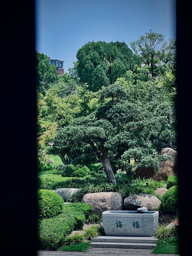 魔都最美寺廟|寶山淨寺，夢迴大唐。