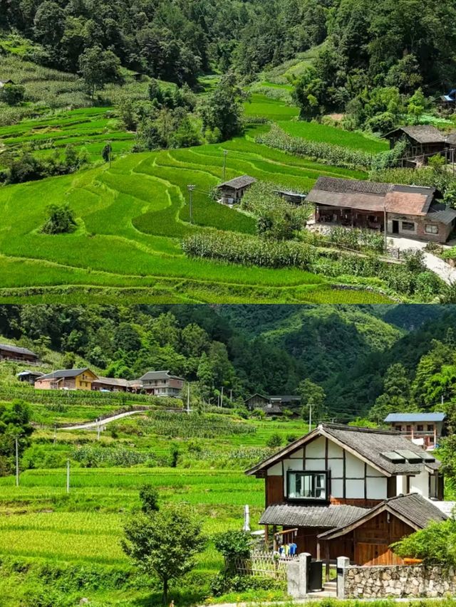 暑假反向旅遊|這個冷門避暑地真的愛了。
