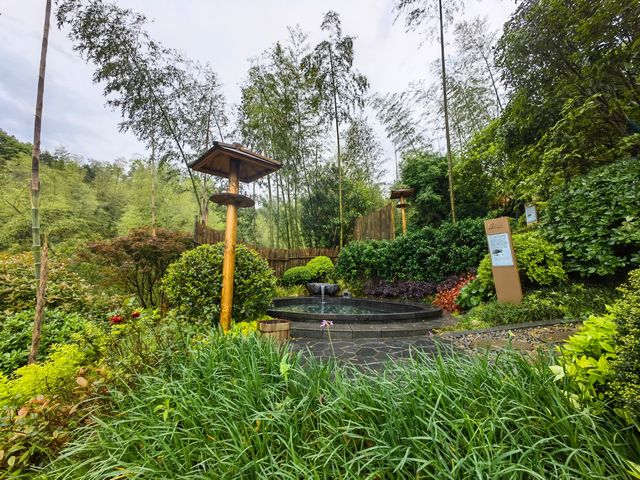 暑氣漸散，涼風徐徐吹來，浸浴溫泉池，盡情享受初秋山野自然清新。