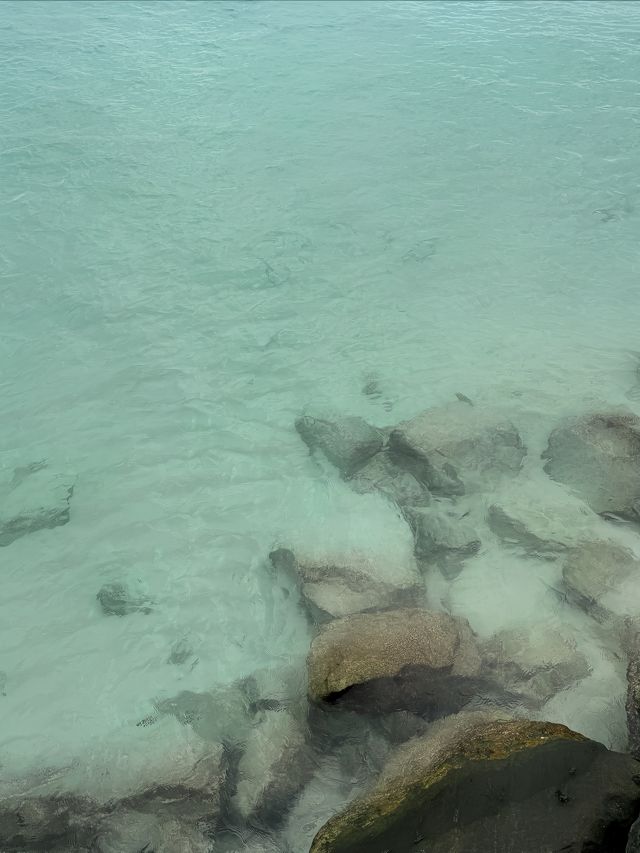 馬爾代夫選島成功。