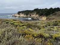Point Lobos 州保護區。
