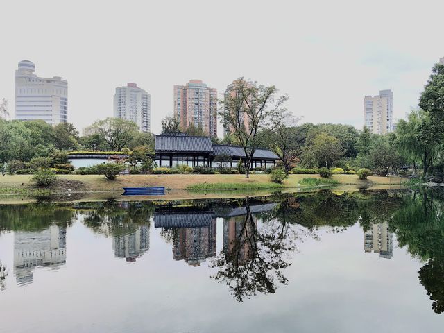 蛻變——和平公園。