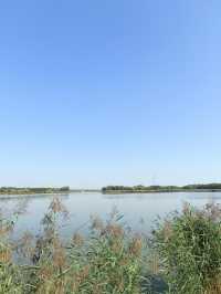 秋日逛公園之西青郊野公園。