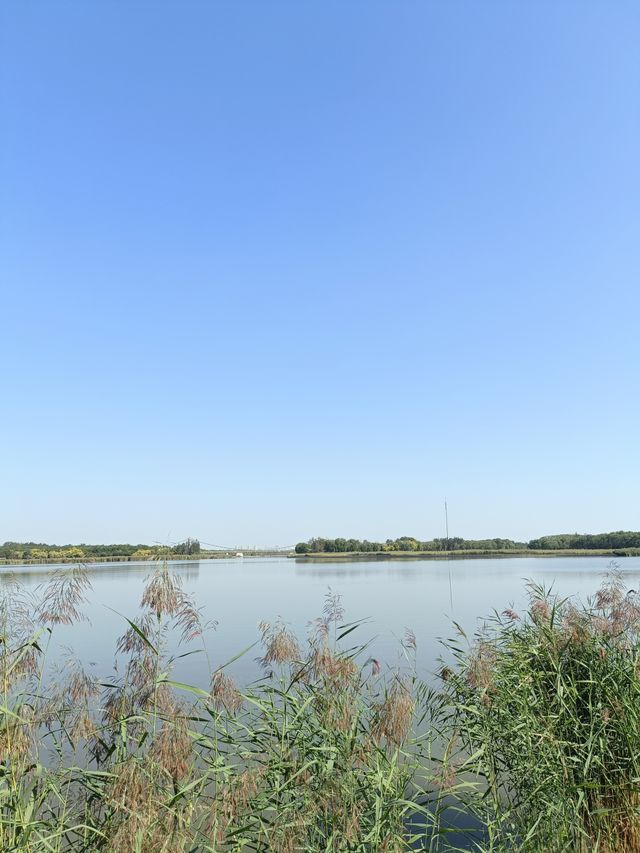 秋日逛公園之西青郊野公園。