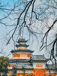 八里河畔，遇見人間仙境的絕美風光