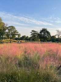 大明宮遺址公園|唐宮遺跡歷史寶庫。